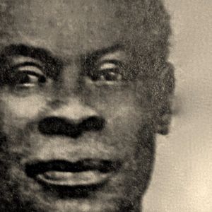 Bilder The First Rasta