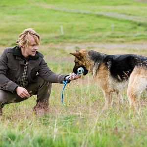 Bilder Island - Herzen im Eis