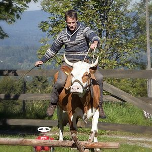 Bilder Für immer Frühling