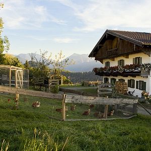 Bilder Für immer Frühling