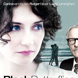 Bilder Black Butterflies