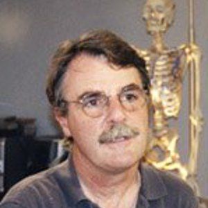 Bilder David MacAulay