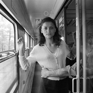 Bilder Rosige Träume