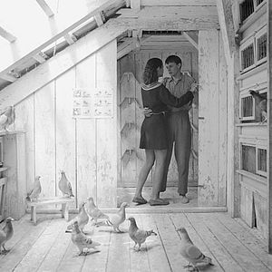 Bilder Rosige Träume