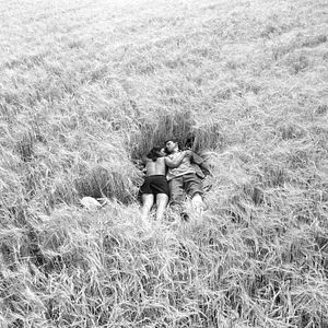 Bilder Rosige Träume