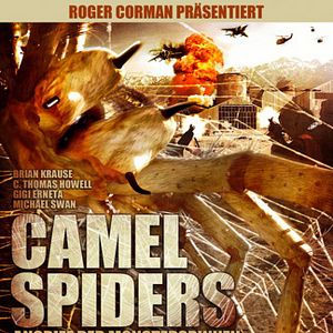 Bilder Camel Spiders - Angriff der Monsterspinnen