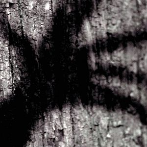 Bilder Wer hat Angst vorm schwarzen Mann?