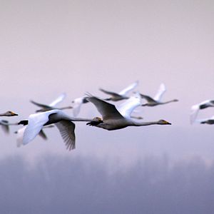 Bilder Deutschland von oben
