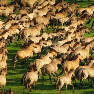 Bilder Deutschland von oben