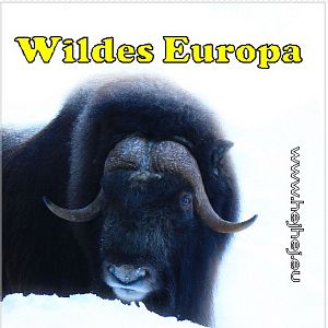 Bilder Wildes Europa - Mittel- und Nordeuropa