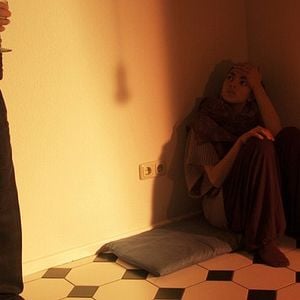 Bilder Schildkrötenwut