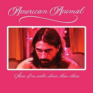 Bilder American Animal