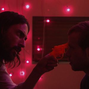 Bilder American Animal