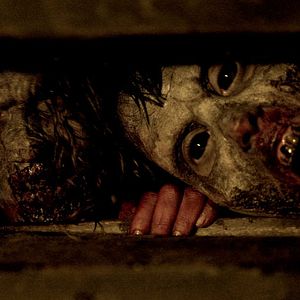 Bilder Exit Humanity