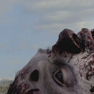 Bilder Exit Humanity