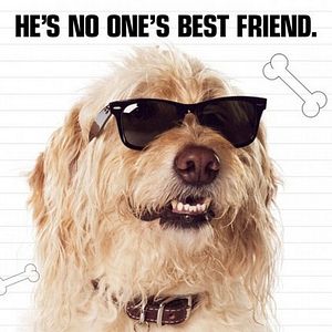 Bilder Gregs Tagebuch 3 - Ich war's nicht