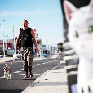 Bilder Der Tag wird kommen