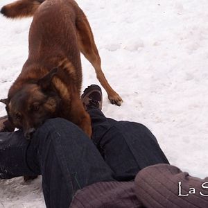 Bilder The Path - Dunkle Pfade