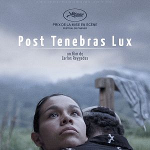 Bilder Post Tenebras Lux