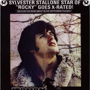 Bilder Kitty & Studs - Der italienische Deckhengst