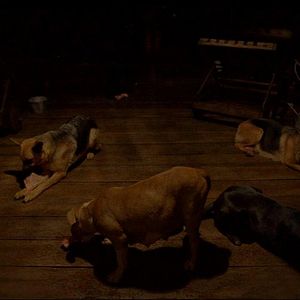 Bilder Post Tenebras Lux