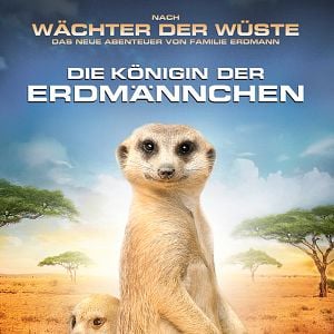 Bilder Die Königin der Erdmännchen