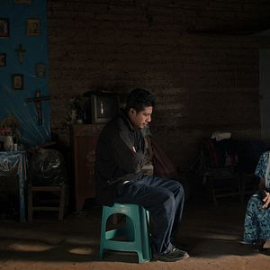 Bilder Hier und dort