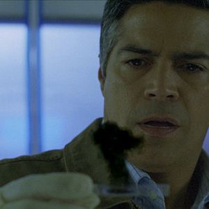 Bilder Seattle Superstorm