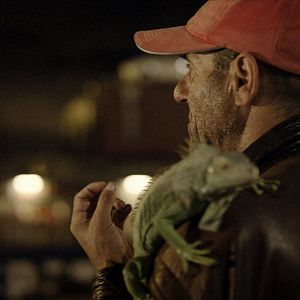 Bilder Os vivos tamben choram