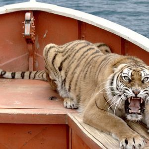 Bilder Life of Pi: Schiffbruch mit Tiger