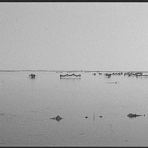 Bilder Dream and Silence