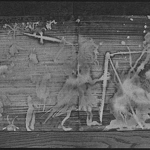 Bilder Dream and Silence