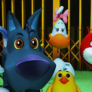 Bilder Cuccioli e il codice di Marco Polo