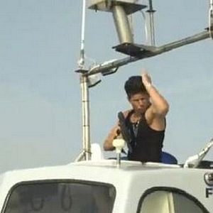 Bilder Jersey Shore Shark Attack