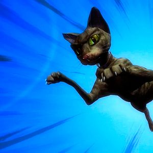 Bilder Plumíferos, aventuras voladoras