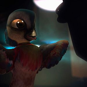 Bilder Plumíferos, aventuras voladoras