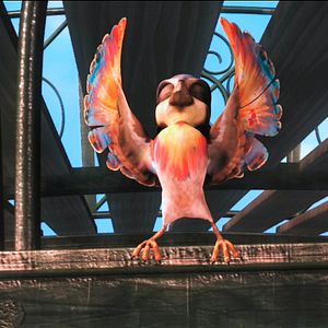 Bilder Plumíferos, aventuras voladoras