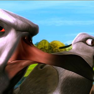 Bilder Plumíferos, aventuras voladoras