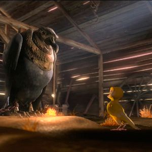 Bilder Plumíferos, aventuras voladoras