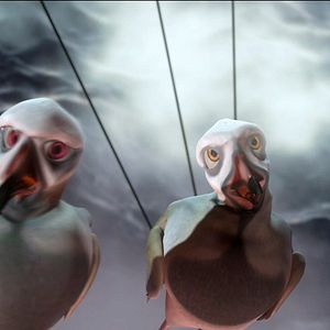 Bilder Plumíferos, aventuras voladoras