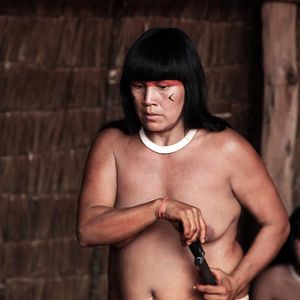 Bilder Porcos Raivosos