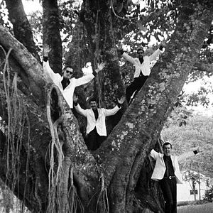 Bilder Tabu - Eine Geschichte von Liebe und Schuld