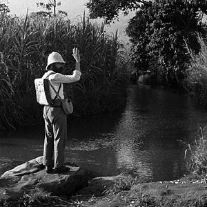 Bilder Tabu - Eine Geschichte von Liebe und Schuld