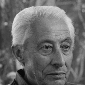 Bilder Henrique Espírito Santo