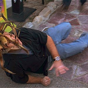 Bilder Camel Spiders - Angriff der Monsterspinnen