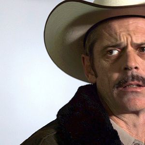 Bilder Camel Spiders - Angriff der Monsterspinnen