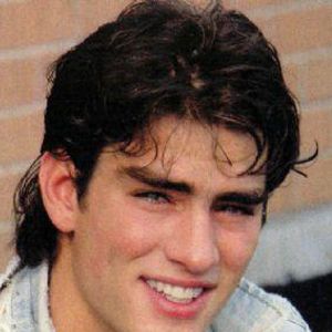 Bilder Rodney Harvey