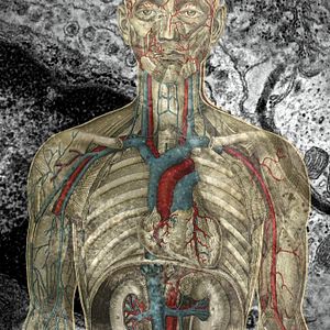 Bilder Global Viral. Die Virus-Metapher