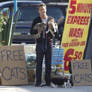 Bilder Matthew Perry