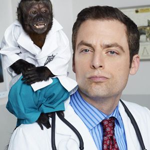 Bilder Animal Practice